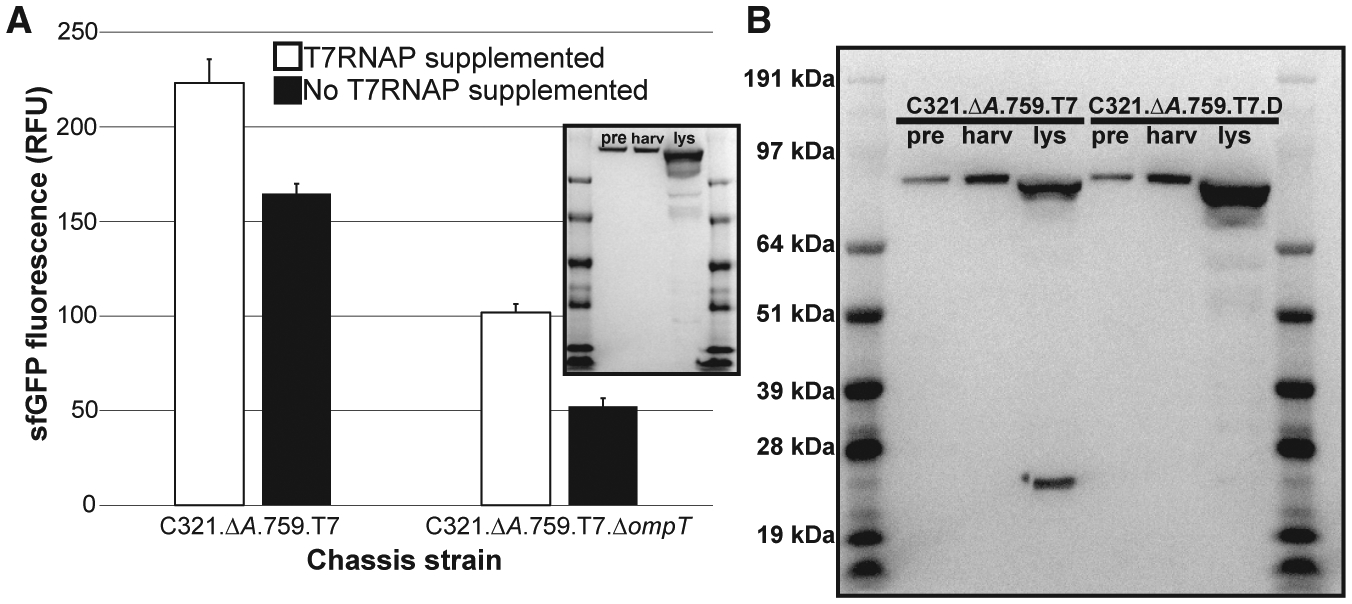 Figure 4.