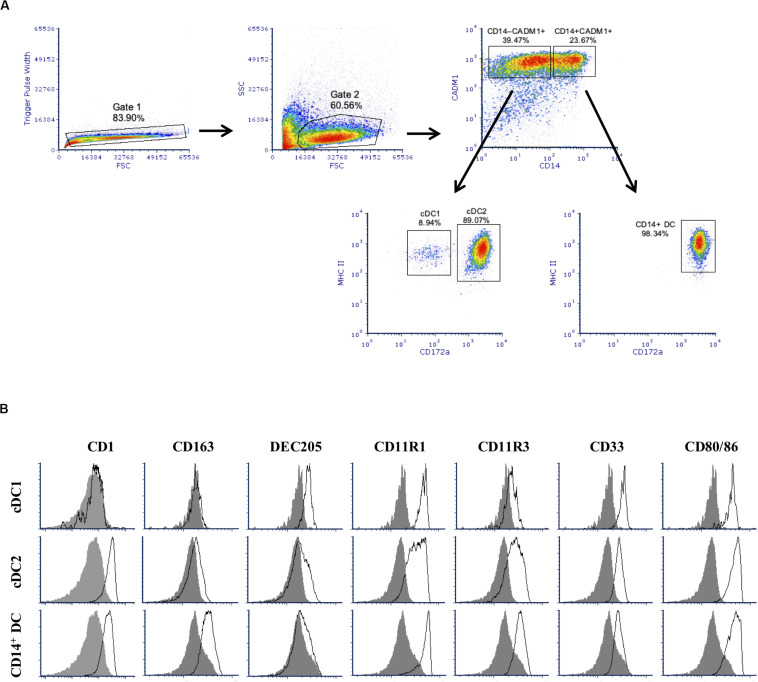 FIGURE 1