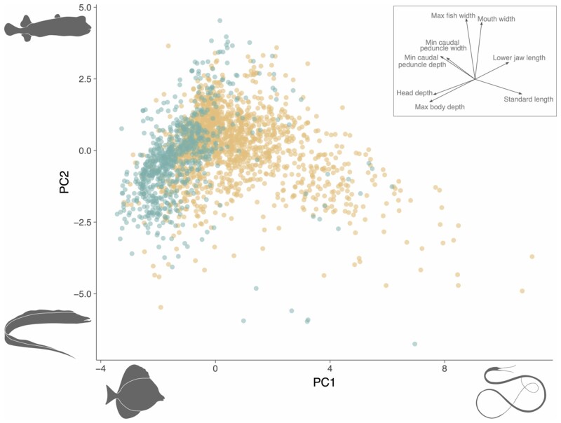 Fig. 2