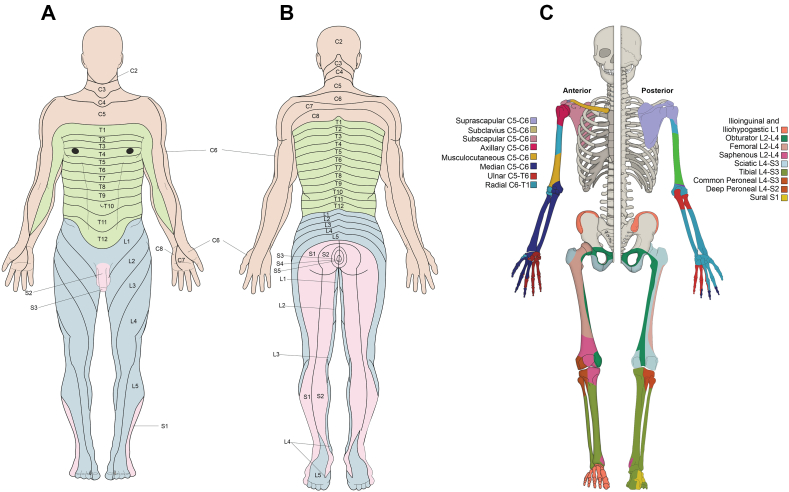 Figure 1