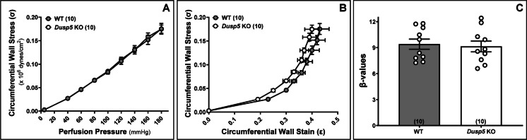 Fig. 7