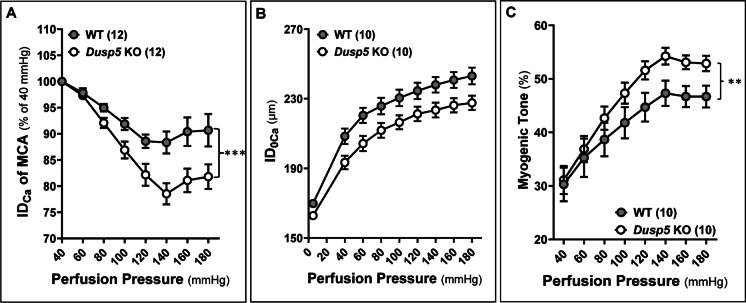 Fig. 4