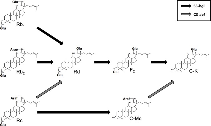 Fig 1