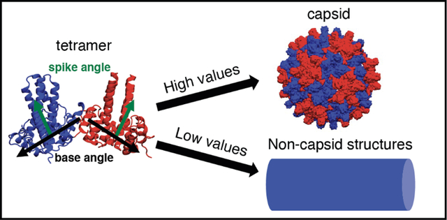 graphic file with name nihms-1797190-f0001.jpg