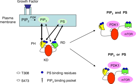 Figure 9.