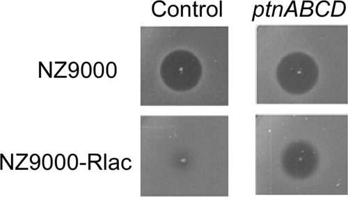 Fig. 6.