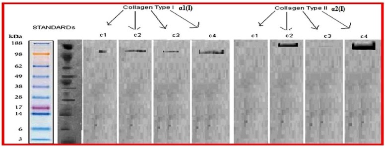 Fig. (6)