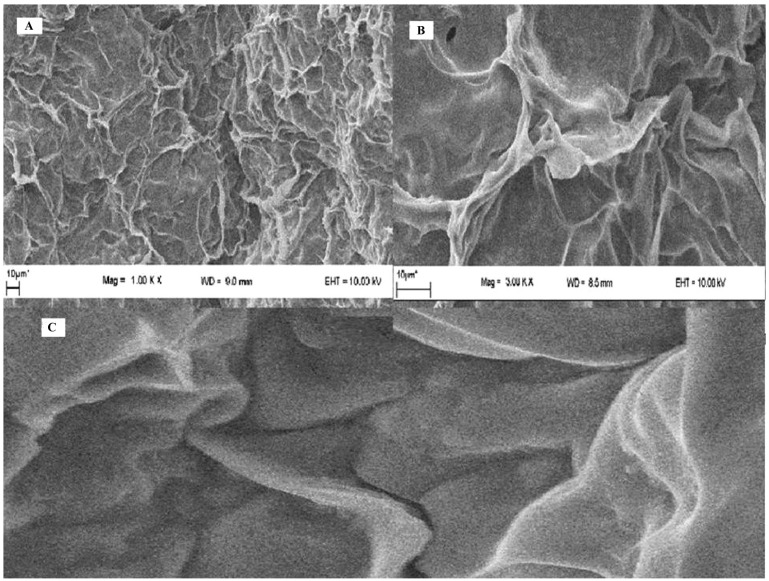 Fig. (3A-C)