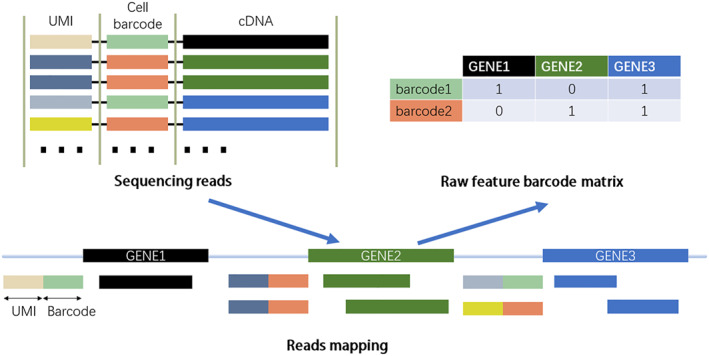 FIGURE 2