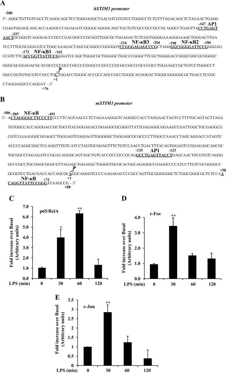 FIGURE 5.