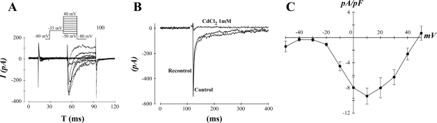 Fig. 2.