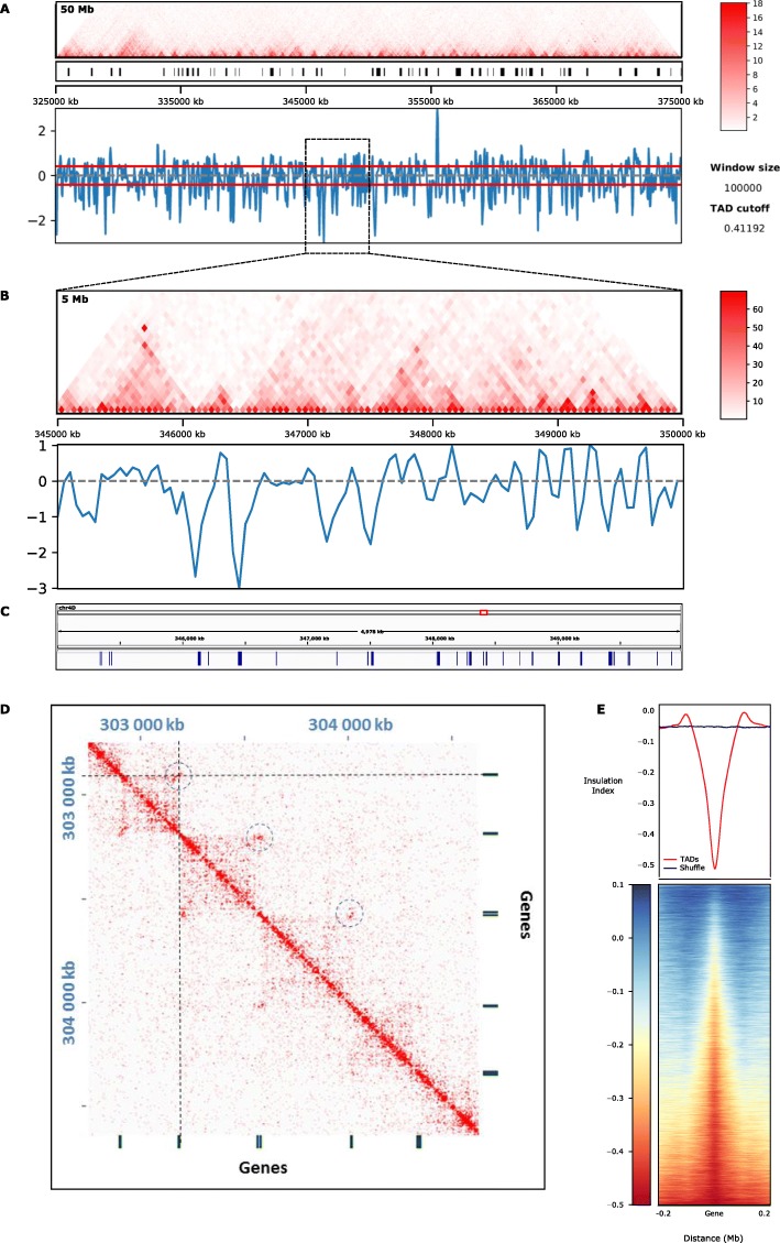 Fig. 2