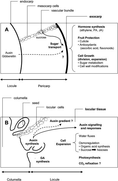 Figure 6.