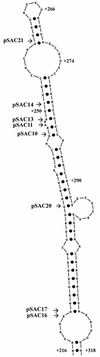 FIG. 7.