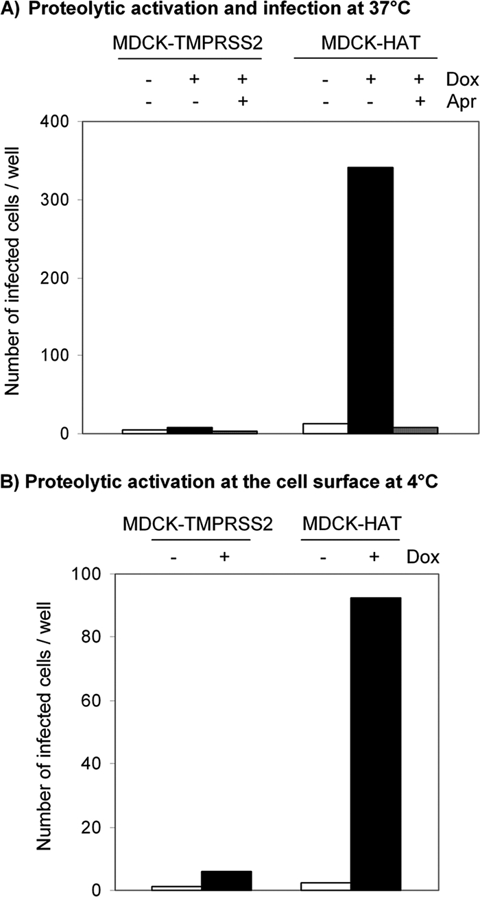 FIG. 5.