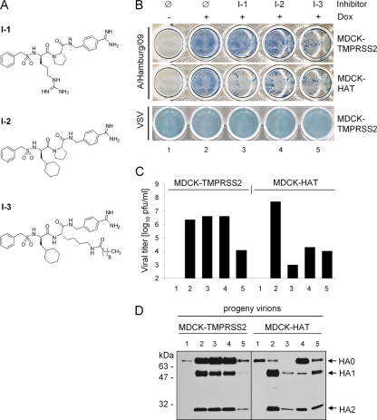 FIG. 6.