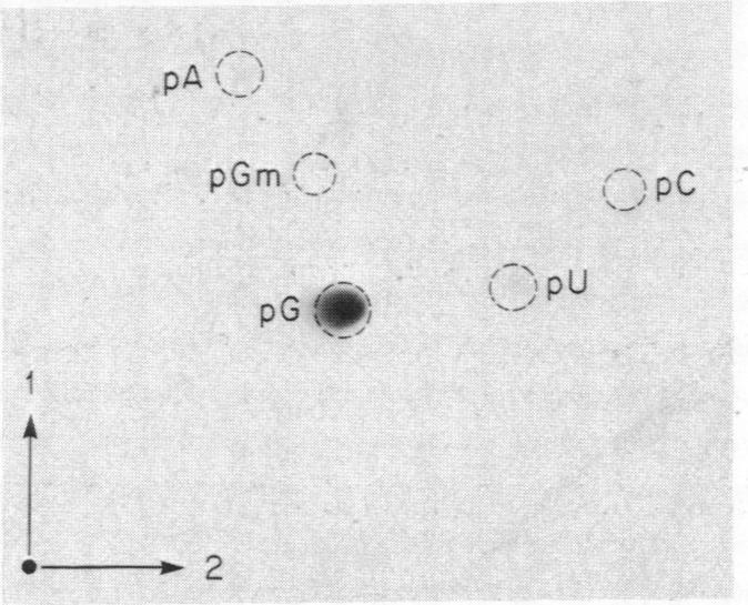 graphic file with name pnas00043-0313-a.jpg