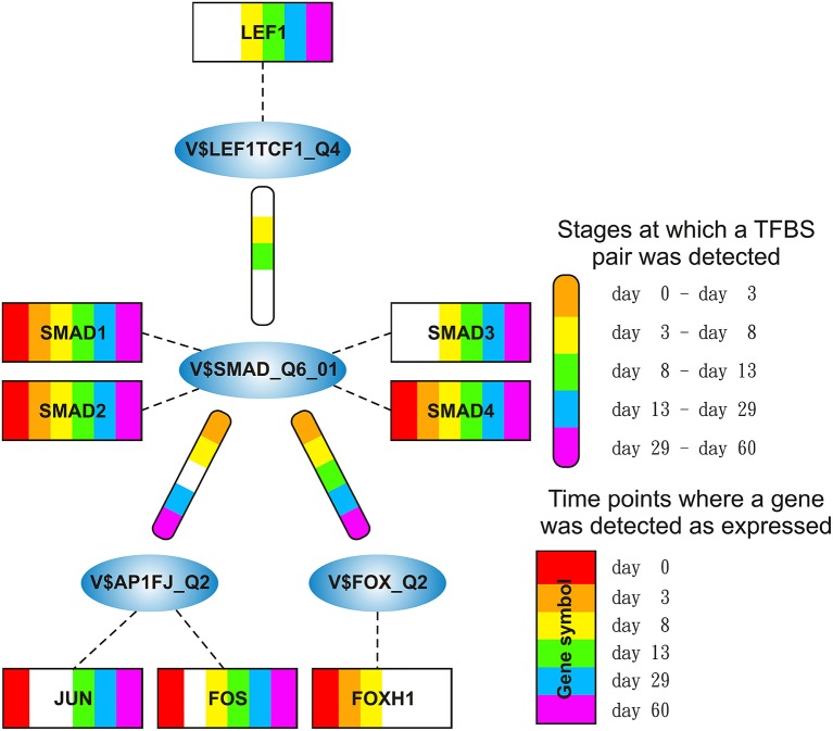 Figure 7