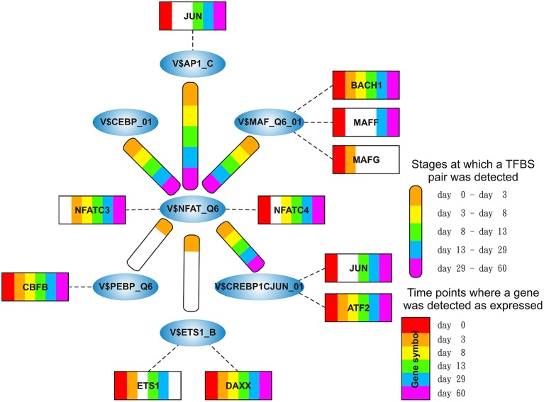 Figure 9