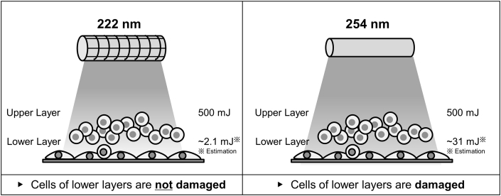 Fig. 9