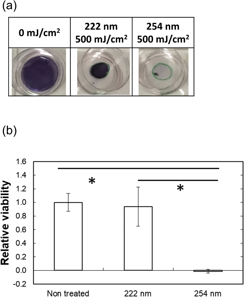 Fig. 6