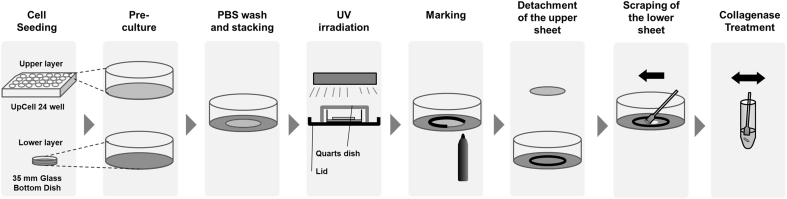 Fig. 3