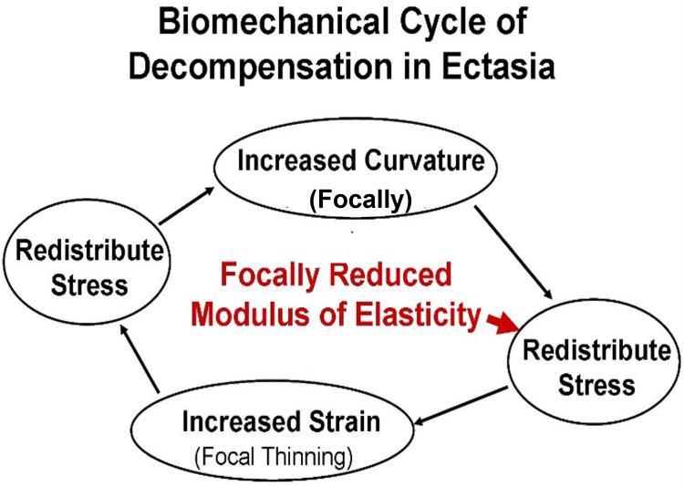 Figure 6