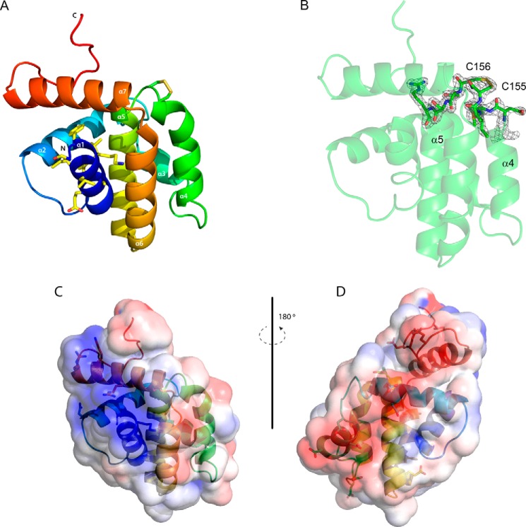 FIGURE 5.