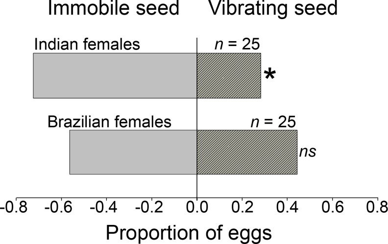 Fig 5