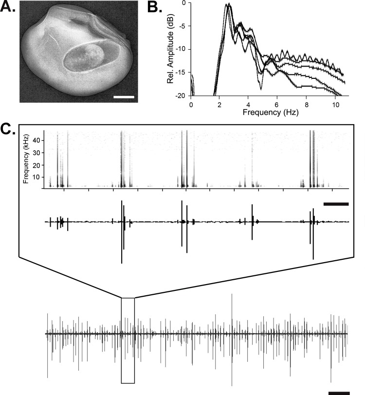 Fig 4