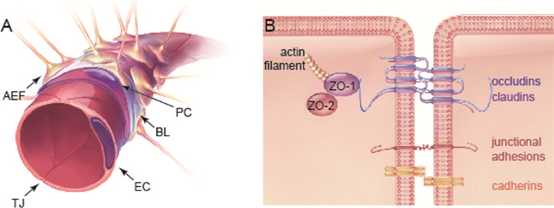 Fig.1