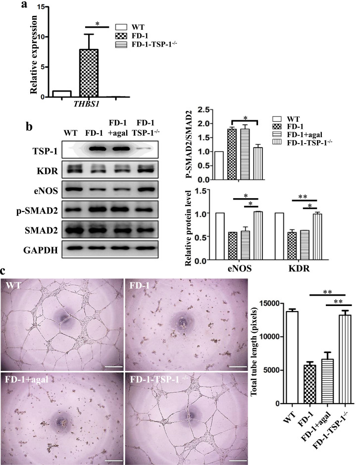 Fig 5