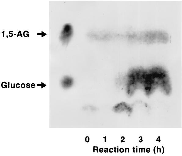 FIG. 1.