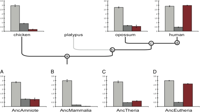 Fig. 4.