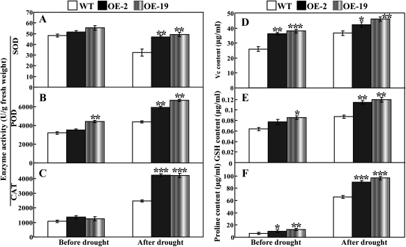 Fig. 11.