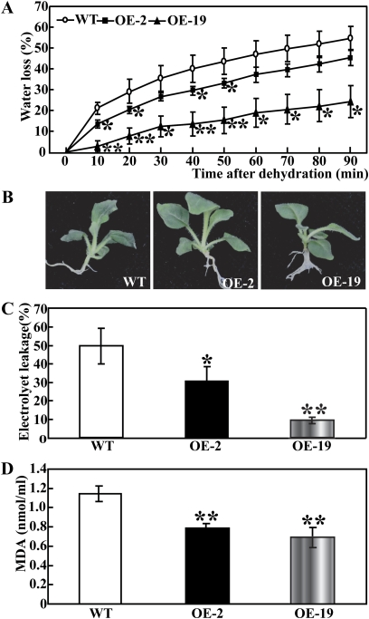 Fig. 6.