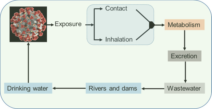 Unlabelled Image