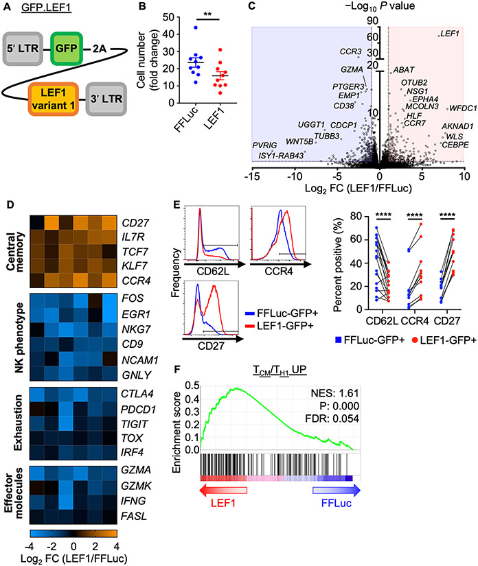 Figure 3: