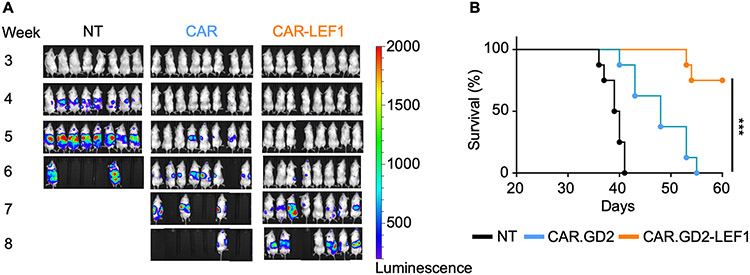 Figure 6: