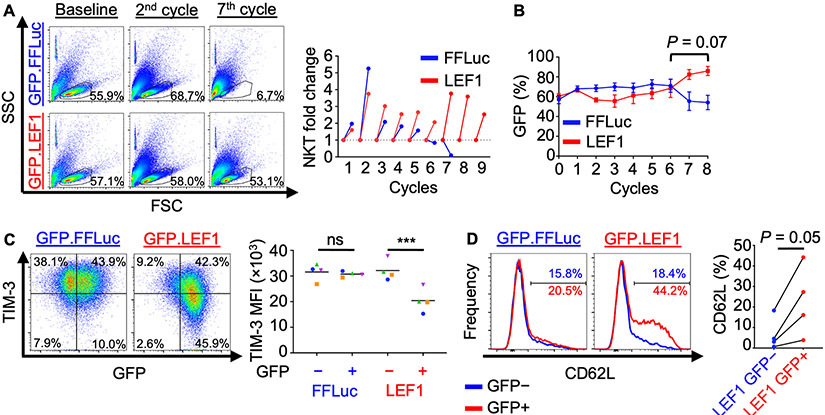 Figure 4: