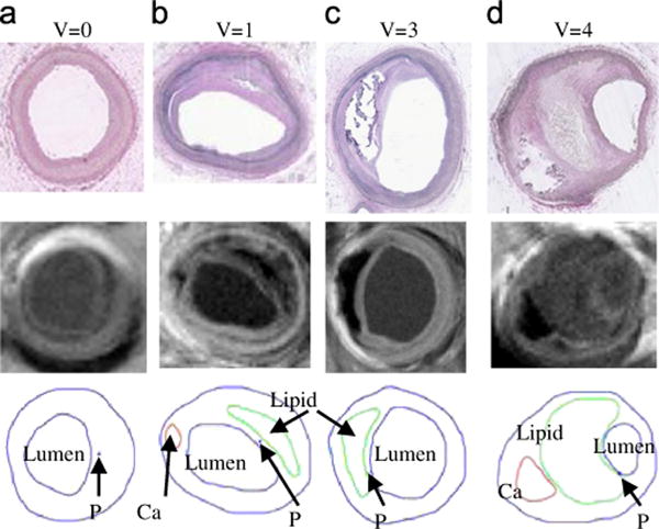 Fig. 7