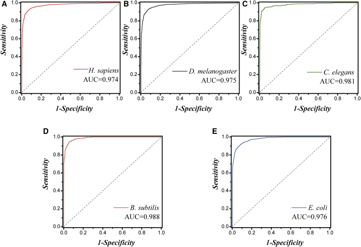 Figure 2