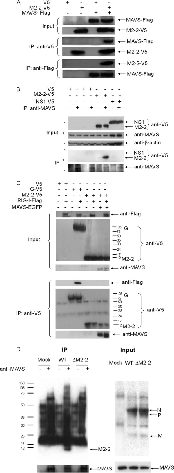 Fig 5