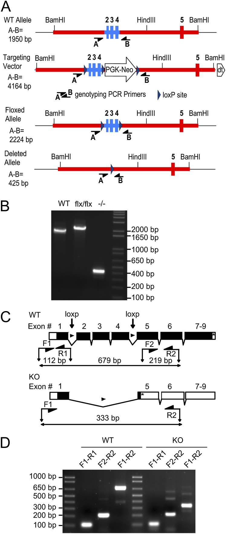 Fig. 5.