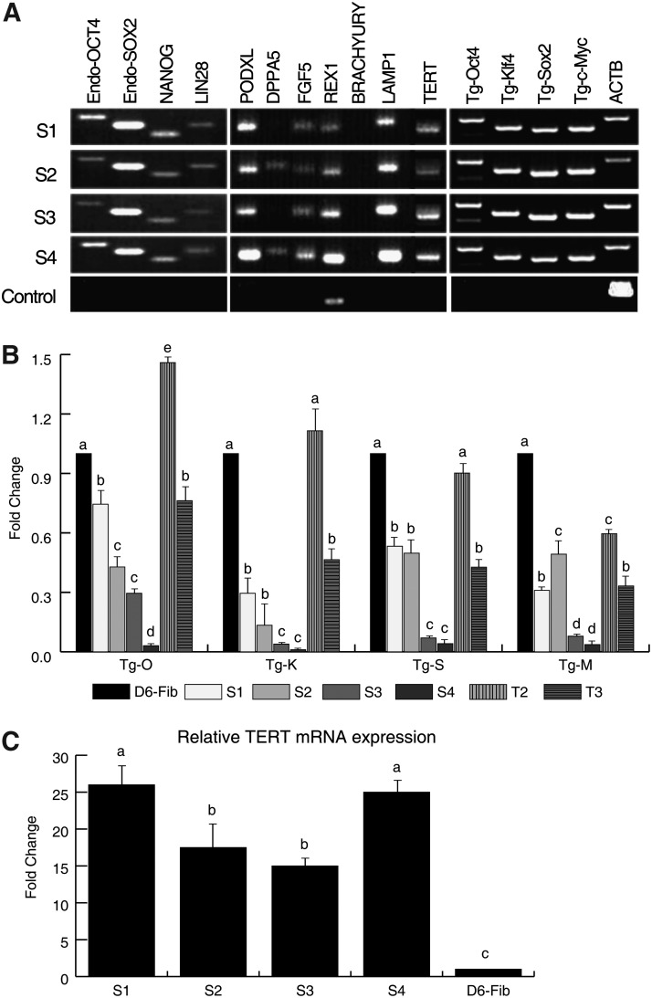 FIG. 2.