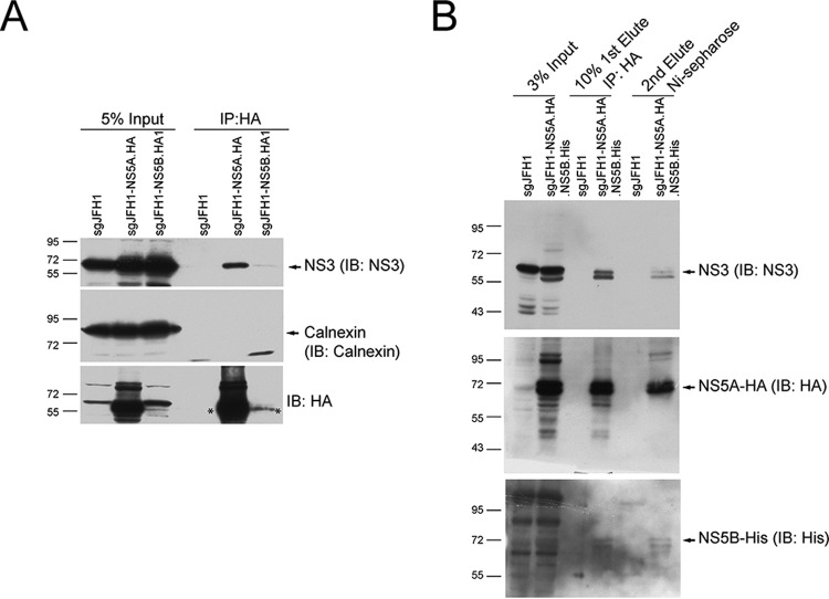 FIG 2