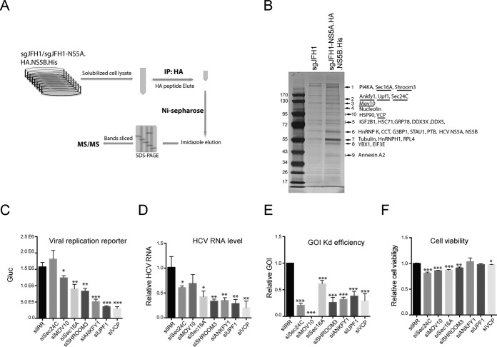 FIG 3