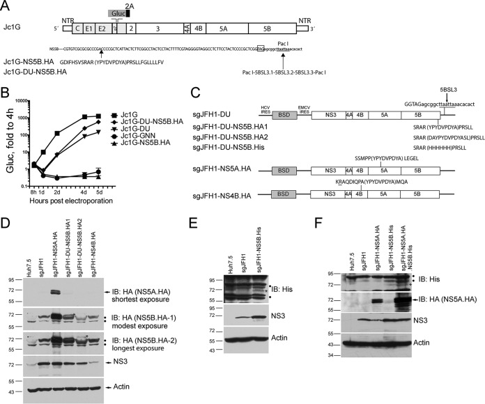 FIG 1