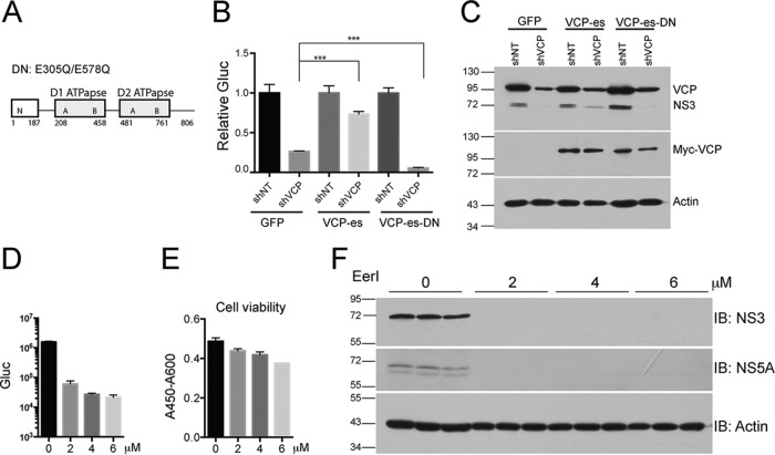 FIG 6