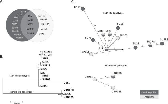 Fig 4